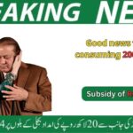 Punjab Electricity Bill Relief 2024: Maryam Nawaz Announces 14 Rs/Unit Discount for August and September